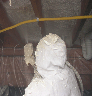 Salem OR crawl space insulation